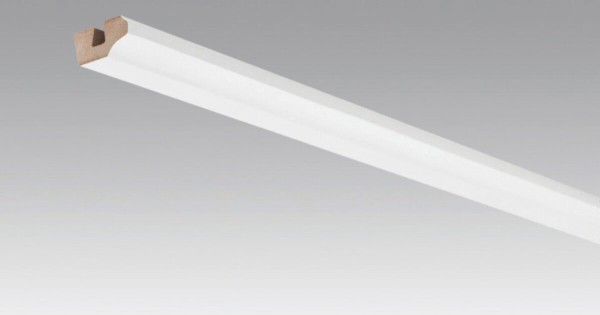 Meister Deckenabschlussleiste Uni weiß glänzend DF