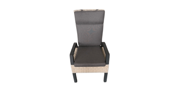 Lesli Living Treviso Mountain Dining Stuhl taupe