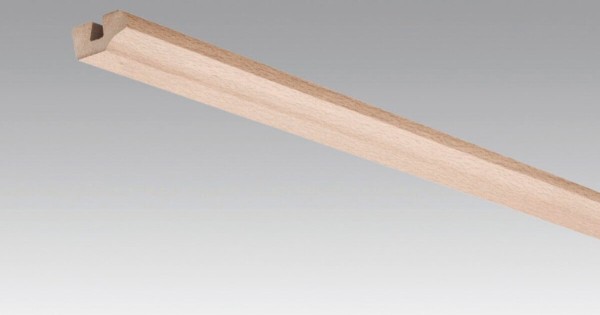 Meister Deckenabschlussleiste Buche pure