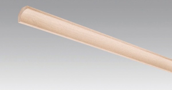 Meister Hohlkehlleiste Buche pure