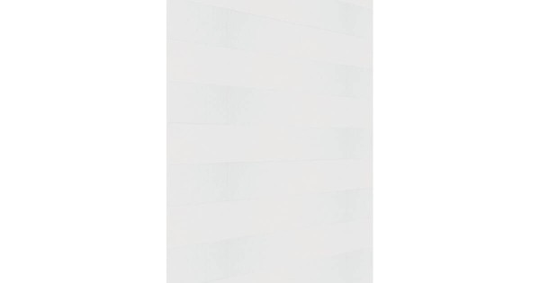 Meister Dekorpaneel Terra DP 250 White mesh