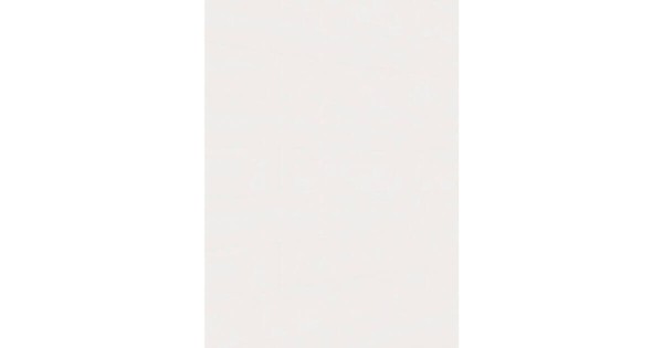 Meister Dekorpaneel Bocado DP 250 Uni weiß glänzend DF