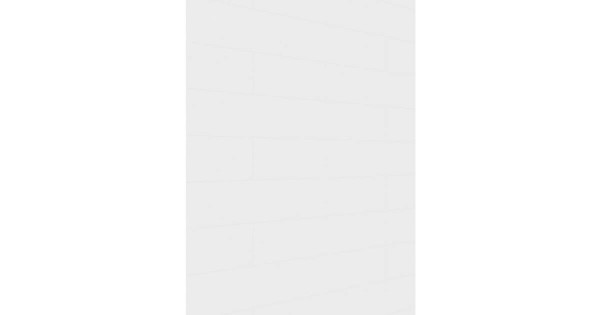 Meister Dekorpaneel Terra DP 250 Polar white