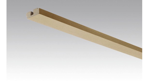 Meister Vierkant-Deckenabschlussleiste Gold-Metallic 4081