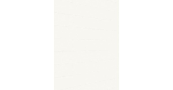 Meister Dekorpaneel Terra DP 250 Warm fineline