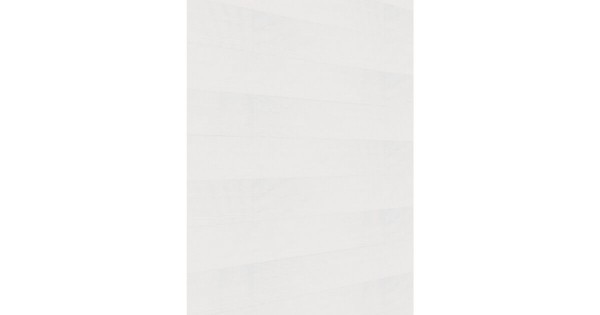 Meister Dekorpaneel Terra DP 250 White ash