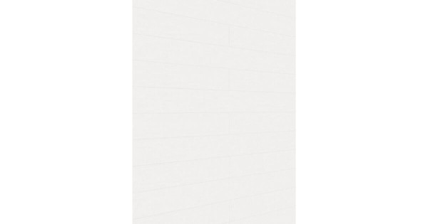 Meister Dekorpaneel tertio DP 200 Esche alpinweiß