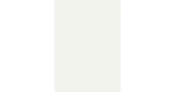 Meister Dekorpaneel Terra DP 250 Snow white wood