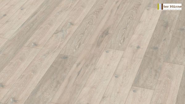 Ter Hürne Laminat Eiche mondgrau A06