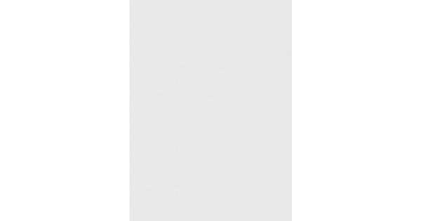 Meister Dekorpaneel Terra DP 250 White pearl