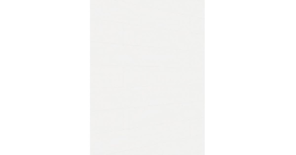 Meister Dekorpaneel Bocado DP 250 Whiteline