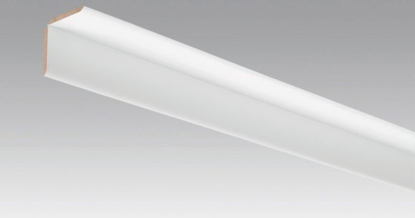 Meister Faltleiste groß Weiß DF (streichfähig)